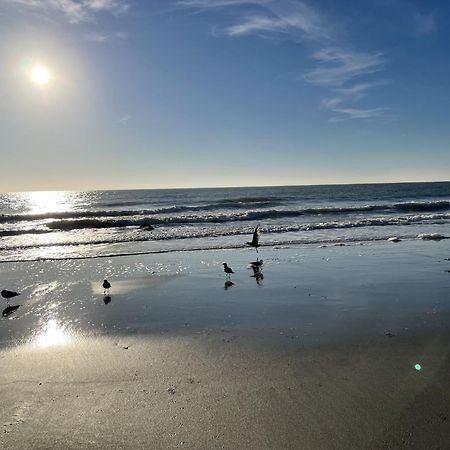 Hotel Blue Palmetto Myrtle Beach Esterno foto