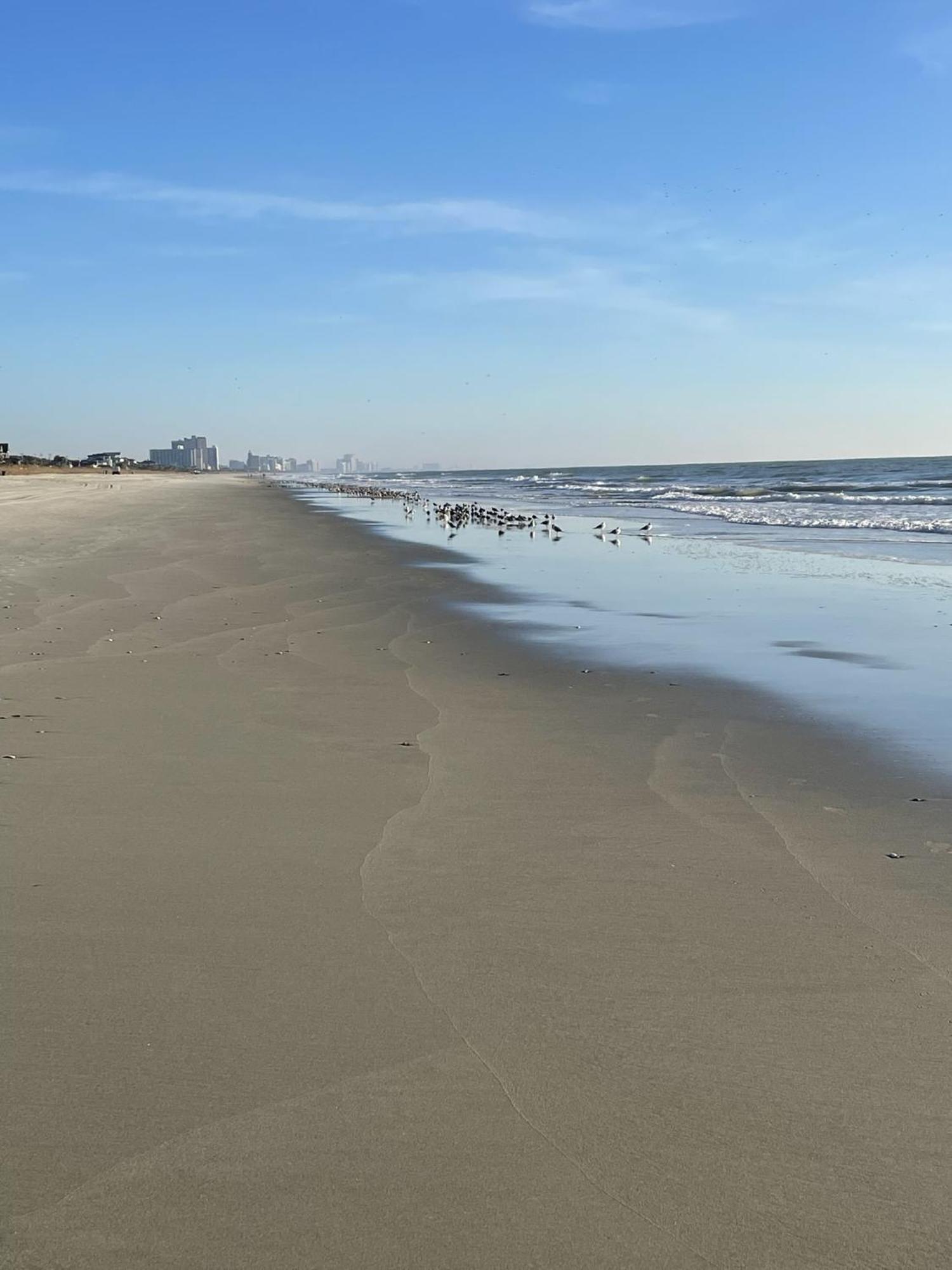 Hotel Blue Palmetto Myrtle Beach Esterno foto