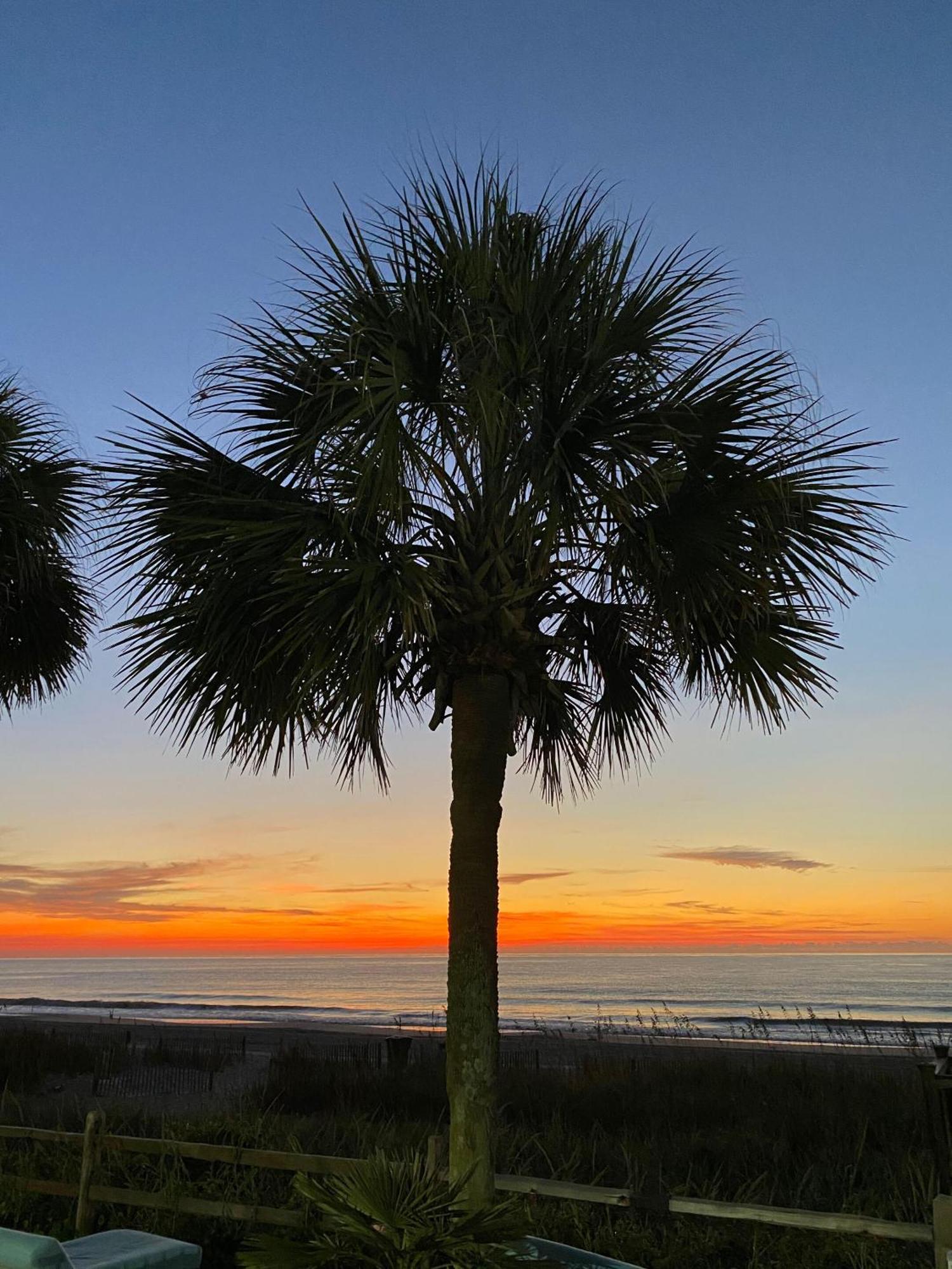 Hotel Blue Palmetto Myrtle Beach Esterno foto
